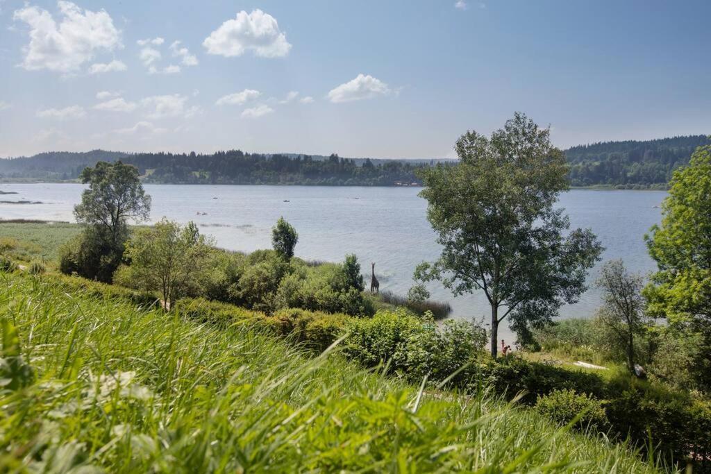 Duplex Le Reflet Du Lac ماليبونسون المظهر الخارجي الصورة